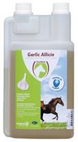 Excellent Garlic Allicin Liquid - 1L