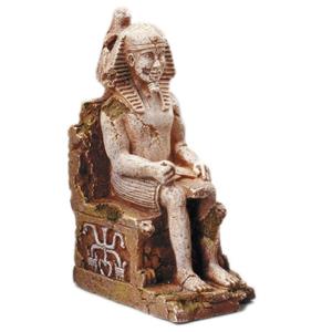Aqua D'ella Pharaos kapra