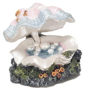 Aqua D'ella Schelp met bubbels