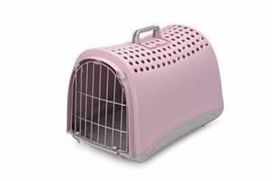 Imac Reismand Linus Roze