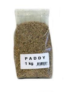   Paddy