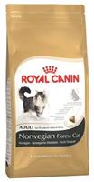 Royal canin Norwegian Forest Cat Adult - 2 kg