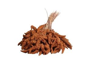 Wielink Trosgierst Frans Rood 25KG