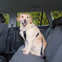 Auto-Hundegeschirr mit Leine M