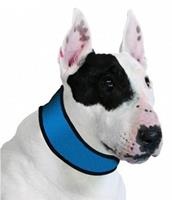 Hunde-Kühlhalsband - blau -, 50 x 4 cm - SCHECKER