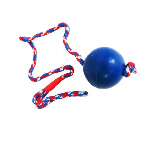 Brekz Rubber Bal+Koord Mint 30cm Hondenspeelgoed