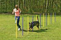 Agility - Slalom - Karlie