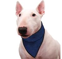 Aqua Coolkeeper Cooling Pet Bandana Pacific Blue