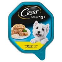 14x Cesar Senior in Gelei Kuipje Kip en Rijst 150 gr