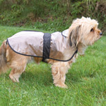 TRIXIE Hunde-Regenmantel Tarbes XS 30 cm PVC  Transparent