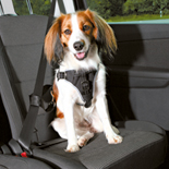 Trixie Comfort car harness S-M: 40-55 cm/17 mm Zwart