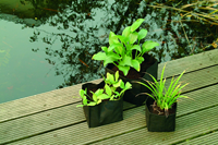 ubbink Waterplantzak vierkant 18 cm