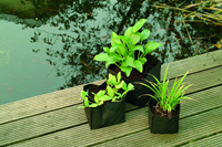 Ubbink Waterplantzak vierkant 18 cm