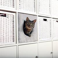 TRIXIE Katzenhöhle »passend für z.B. IKEA Kallax oder Expedit«