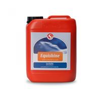 Sectolin Original Paard - Antiklit en glasspray - 5 L