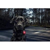 Orbiloc veiligheidslampje Dog Dual, rood