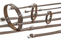Lederen honden halsband bruin - 32 cm x 10 mm