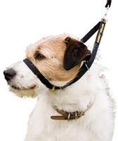 Canny collar - Zwart - Nummer 1 -  23 - 28 cm