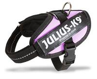 Julius k9 powerharnas/tuig voor labels roze