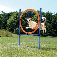 Trixie Dog Activity Agility Ring Blauw / Oranje 65x3x115cm