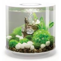 oase Aquarium 15l mit LED-Beleuchtung