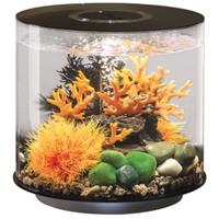 Aquarium 15l mit LED-Beleuchtung