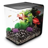 Aquarium 30l mit LED-Beleuchtung