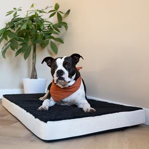 Kerbl Hondenkussen Memory Foam Matras 60x100cm