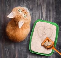 Almo Nature Litter 2,27kg Almo Nature Cat Litter Kattenbakvulling