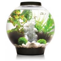 Aquarium 15l mit LED-Beleuchtung