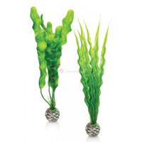 biorb planten medium groen aquarium decoratie