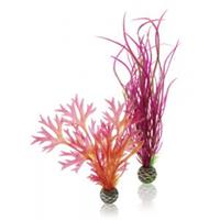 biorb planten medium rood & roze aquarium decoratie