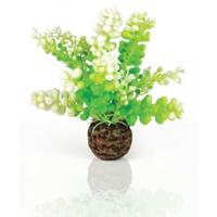 biorb Caulerpa groen aquarium decoratie