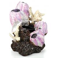 biorb ornament eendenmossel roze klein aquarium decoratie