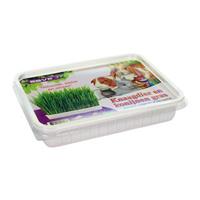 Esve Knaagdier- en Konijnengras