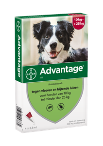 Bayer Advantage voor honden 4 pipetten Gewicht 10 tot 25KG