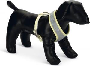 Beeztees Puppy Bronda - Hondentuig - Grijs - L