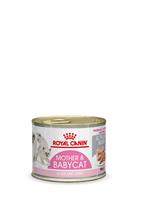 Royalcanin Mother & Babycat Mousse - 12 x 195 g