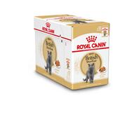 Royalcanin British Shorthair Adult Wet - 12 x 85 g