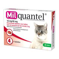 Grote Kat (16 mg) - 4 tabletten