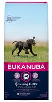 eukanuba Growing Puppy Large Breed Hondenvoer - Dubbelpak: 2 x 15 kg
