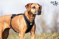 Curli Belka Comfort Harness - XS - Schwarz