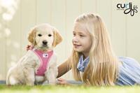 Curli Vest Harness Air-Mesh & Leash Puppy Set - S - Lichtroze