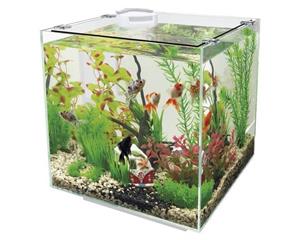 Superfish Qubiq 30L Wit - Stijlvol Glazen Cube Aquarium met Ingebouwde Filter en 2 Jaar Garantie