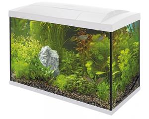 superfish Aquarium Start 70 Tropical Kit Retro Led 70 l - Aquaria - Wit