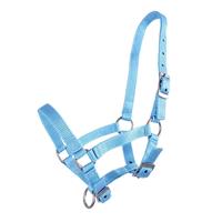 Fohlenhalfter Qhp Mini, Falabella Veulen in Blue