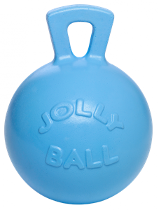 Jolly Ball met geur | Voor diverse dieren Bosbessengeur