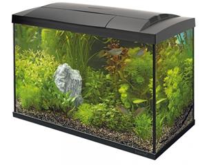 Superfish Start 70 Tropical Kit Zwart - 60L Compleet Aquarium met LED & Filter