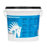 Magnesium paard 1000 gr.