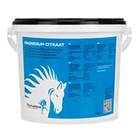 Magnesium paard 3000 gr.